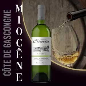 Vin Miocène du Domaine de Chiroulet : Un Vin Blanc Sec d'Élégance et de Fraîcheur