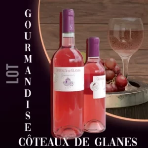 Vin rosé "gourmandise" du vignoble "Côteaux de Glanes", un rosé d'exception pour toutes les occasions.