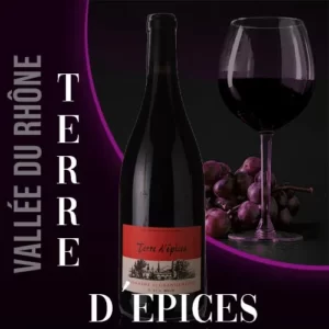 Bouteille du vin rouge Terre d'Epices du Domaine Grangeneuve. Robe rouge rubis et étiquette avec le nom du vin.