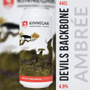 Bière "Devil's Backbone (Amber Ale)" - Une Amber Ale audacieuse de la Brasserie Kinnegar Donegal